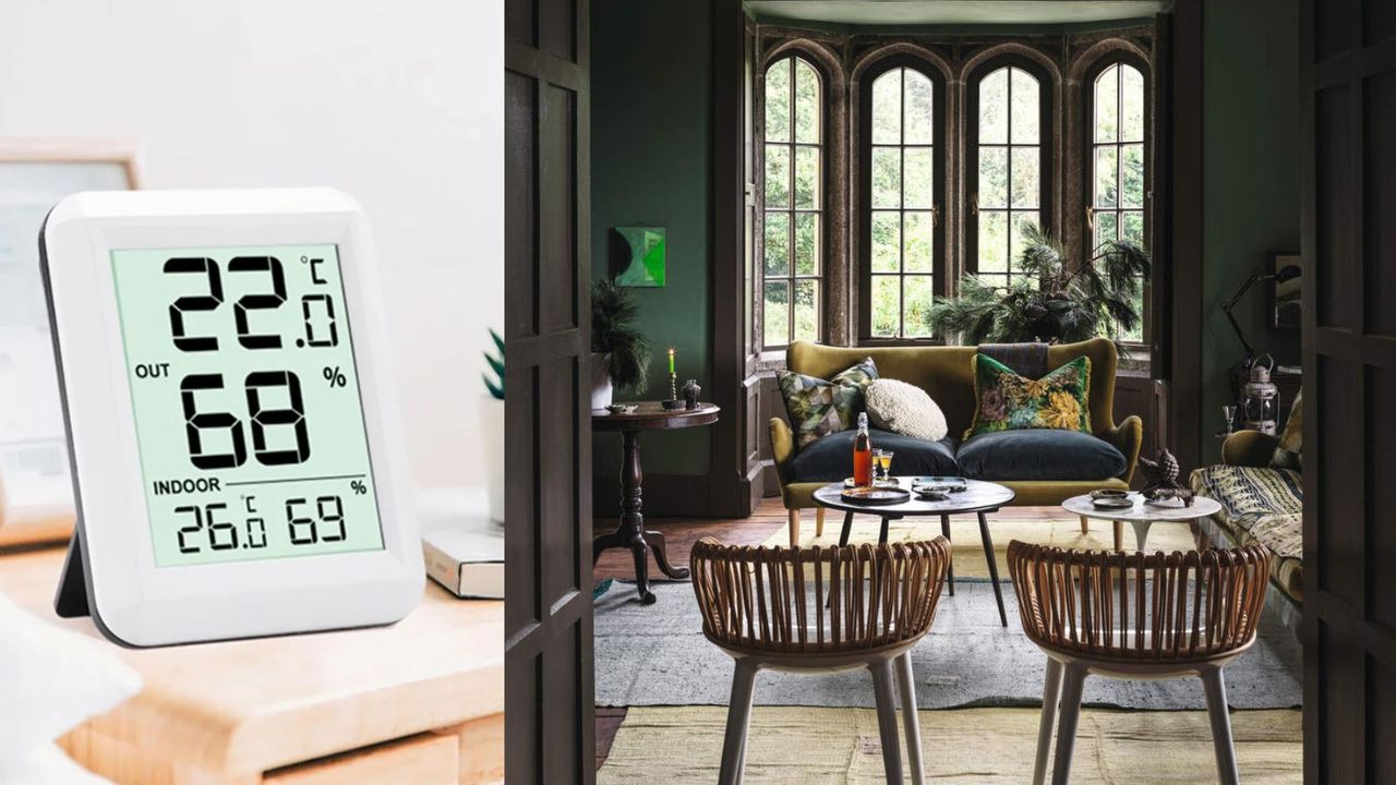 Hygrometer, green living room