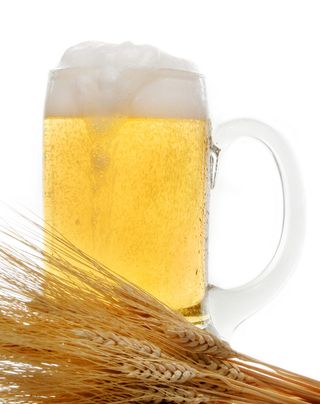 German researchers have found that athletes who drank non-alcoholic wheat beer had healthier immune systems post-marathon than runners who didn't drink the beer.