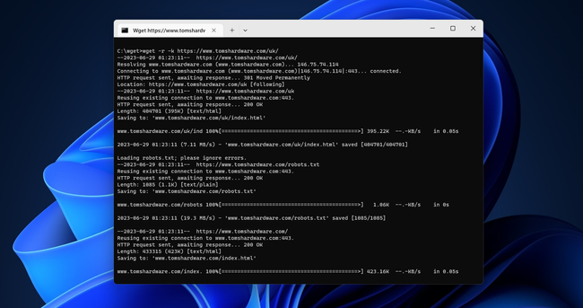 How to Use Wget to Download Files at Windows' Command Line | Tom's Hardware