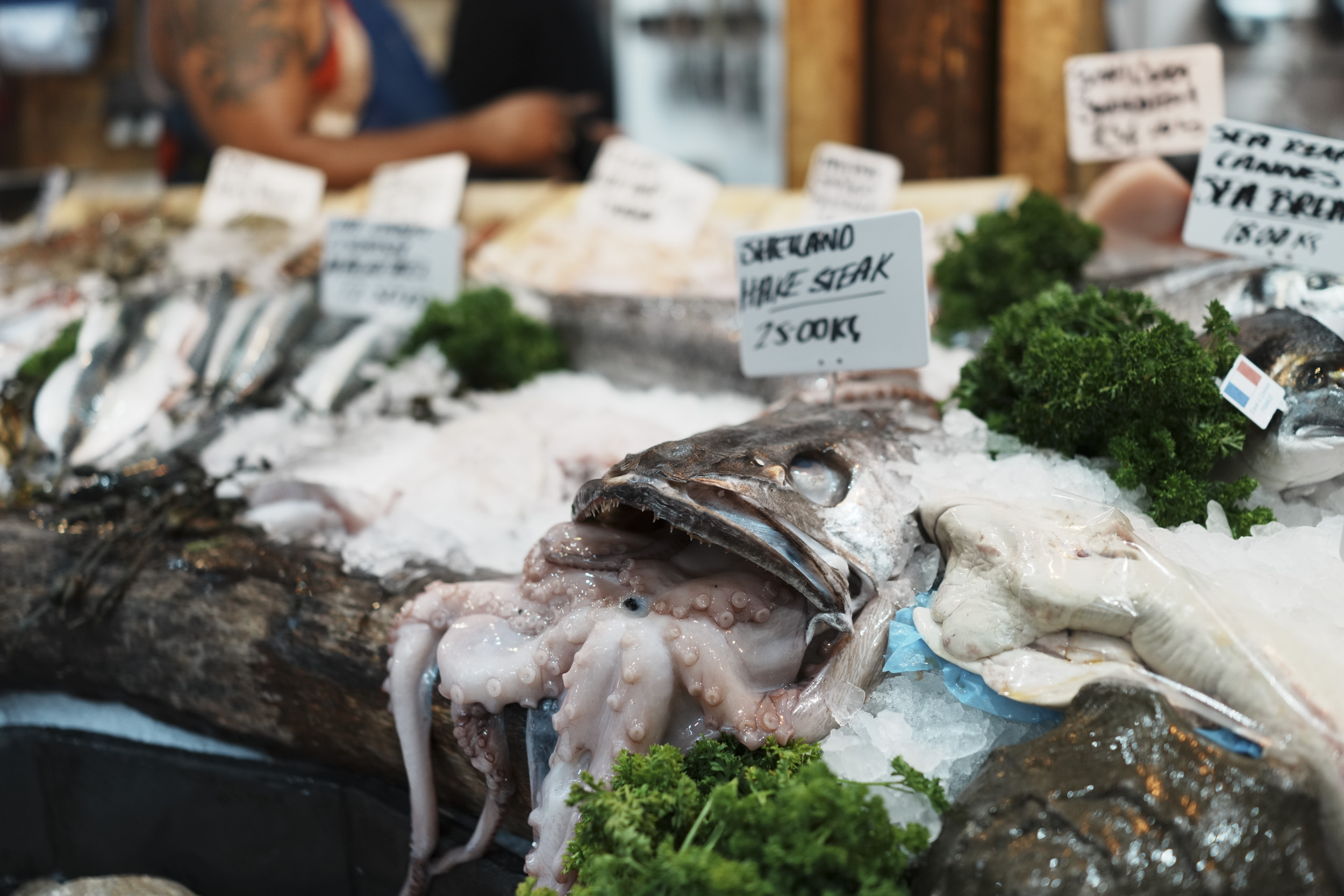 Sony RX1R III sample gallery: fishmonger in London's Borough Market, close up of fish. on ice