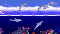   Ecco the Dolphin