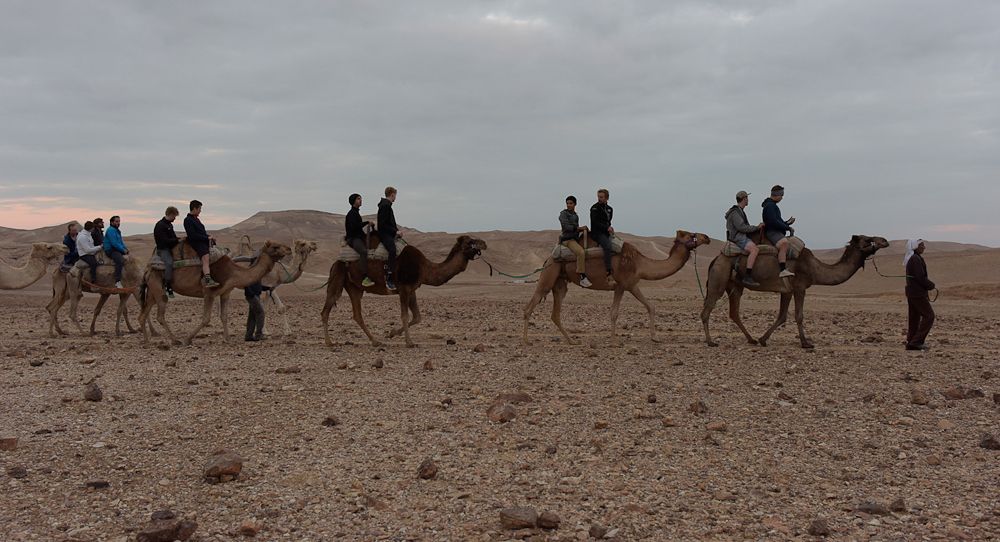 The camel ride was a highlight for many riders.