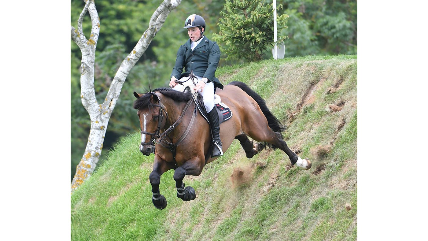 GARARD CLARKE AND LUPINS LUX Z