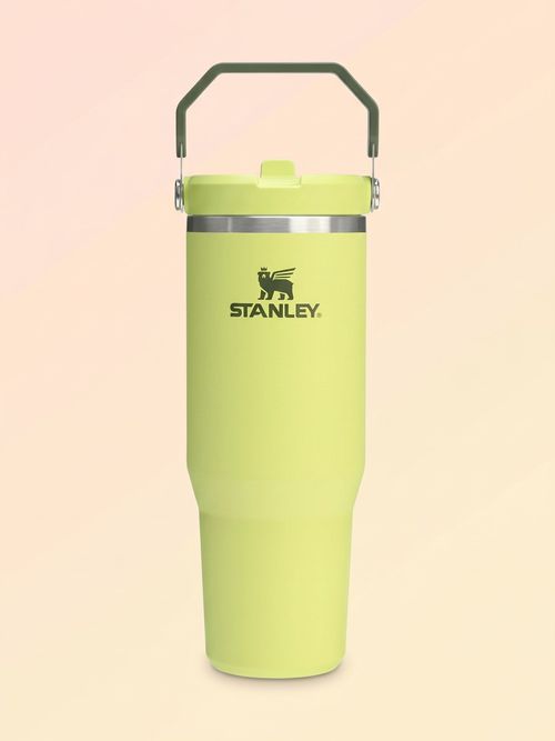 Stanley Iceflow 2.0 Flip Straw Tumbler With Handle 30 Oz