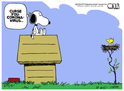 Editorial Cartoon U.S. Snoopy Woodstock Coronavirus social distancing curse space