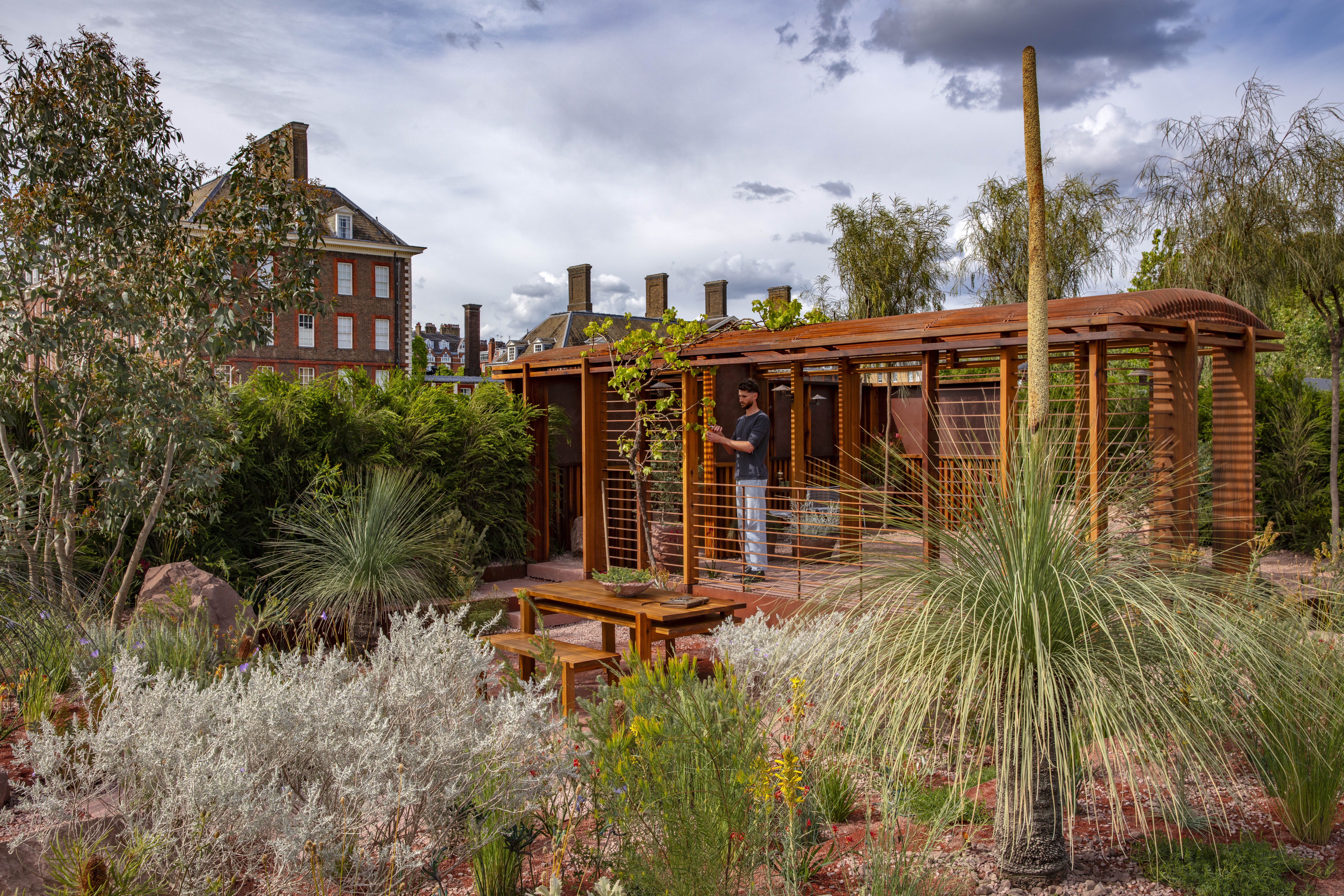 A desert-style garden at RHS Chelsea. The royal hospital can be seen in the background