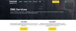 Website screenshot for Neustar UltraDNS