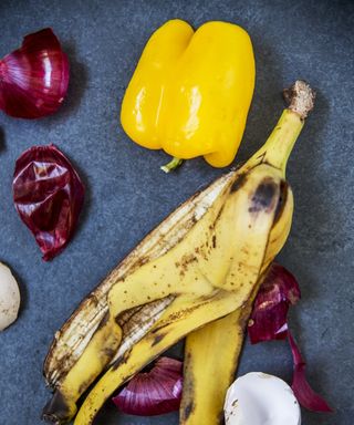 Banana skin with yellow pepper and red onion skins on dark grey background