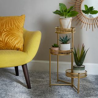 plant stand in room with white wall and yellow sofa