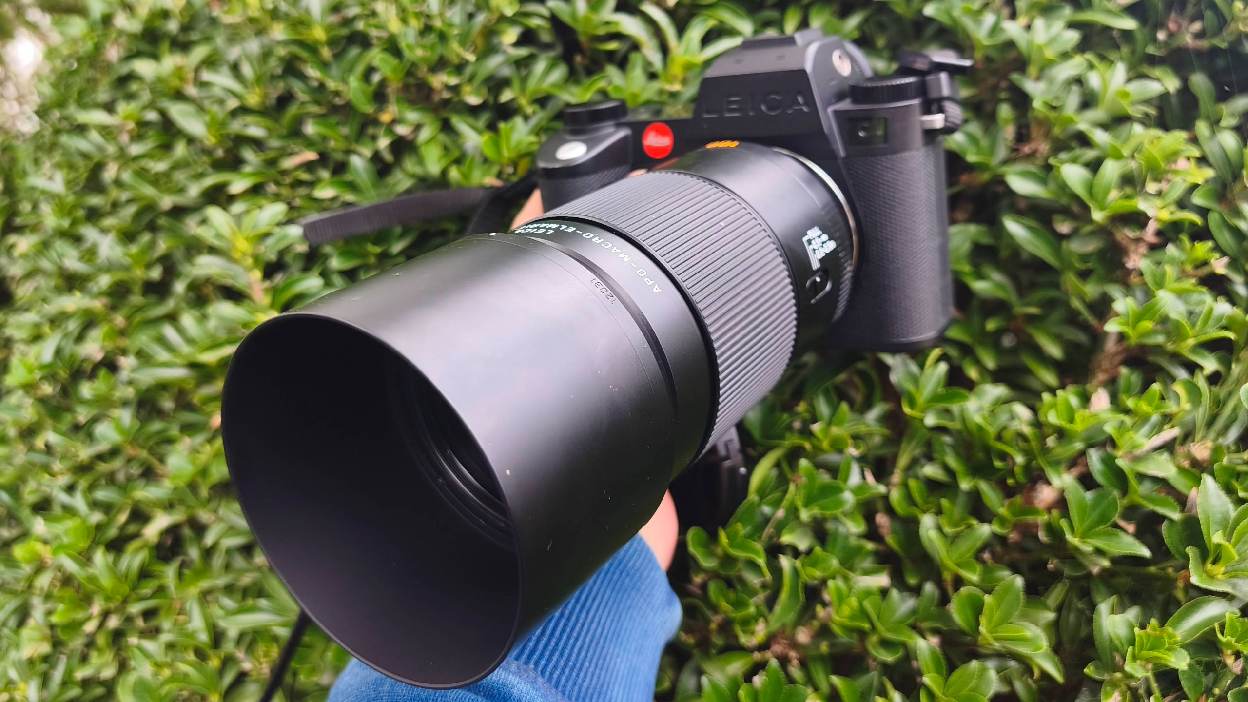 Leica APO-Macro-Elmarit-SL 100 f/2.8
