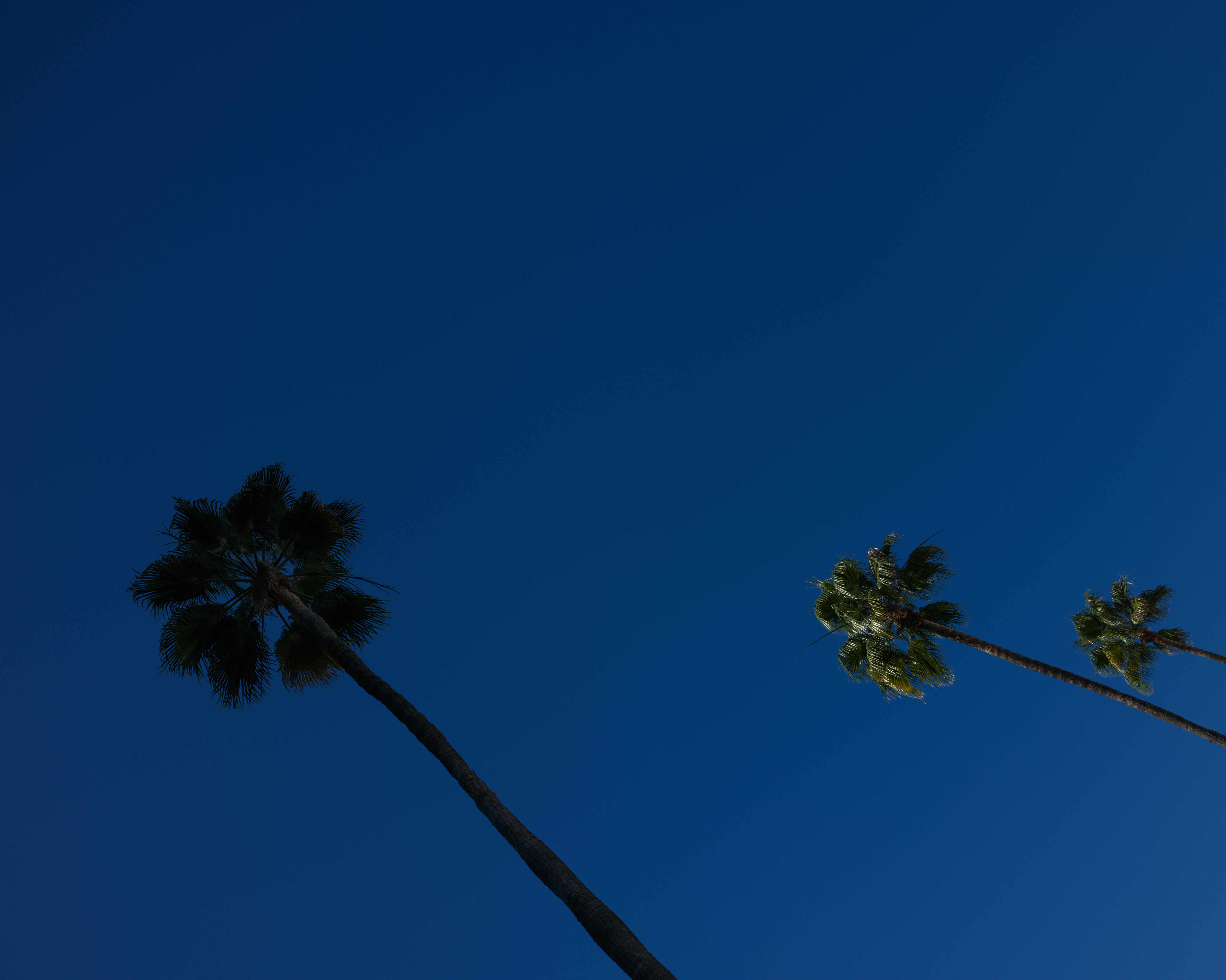 A sample image taken with the Fujifilm GFX100RF