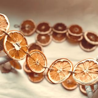 Dried Orange Slice Garland