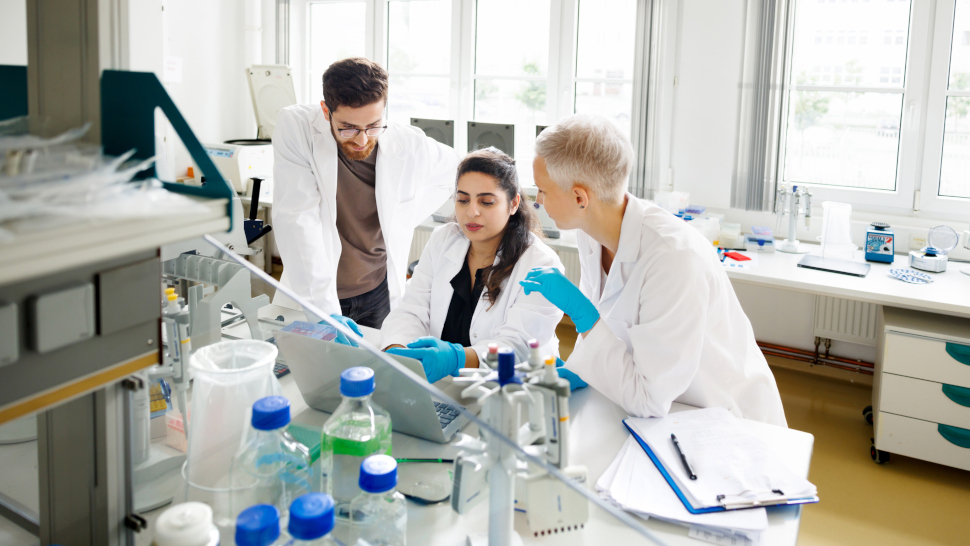 a group of scientists carrying out research in a lab