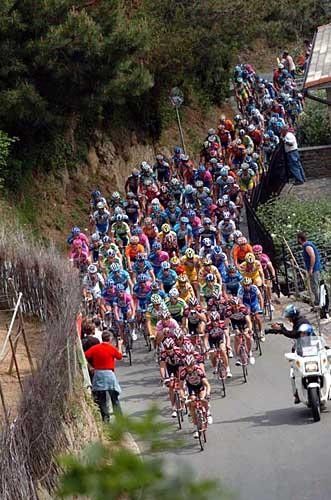 The peloton