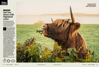 Image showing the first two pages of Photo Active project 5 in issue 292 (April 2025) of Digital Camera magazine, about how to photograph Highland cows