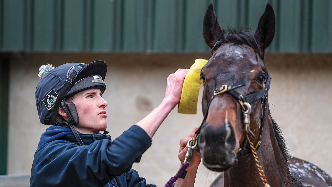 Jack Andrews washing down Wideopenspaces after morning exercise at G&amp;amp;T Racing near Marton in Warwickshire in the UK on 20th February 2021