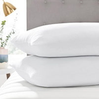Silentnight Deep Sleep Pillows 2 Pack | £135.0 (was £16.99)
