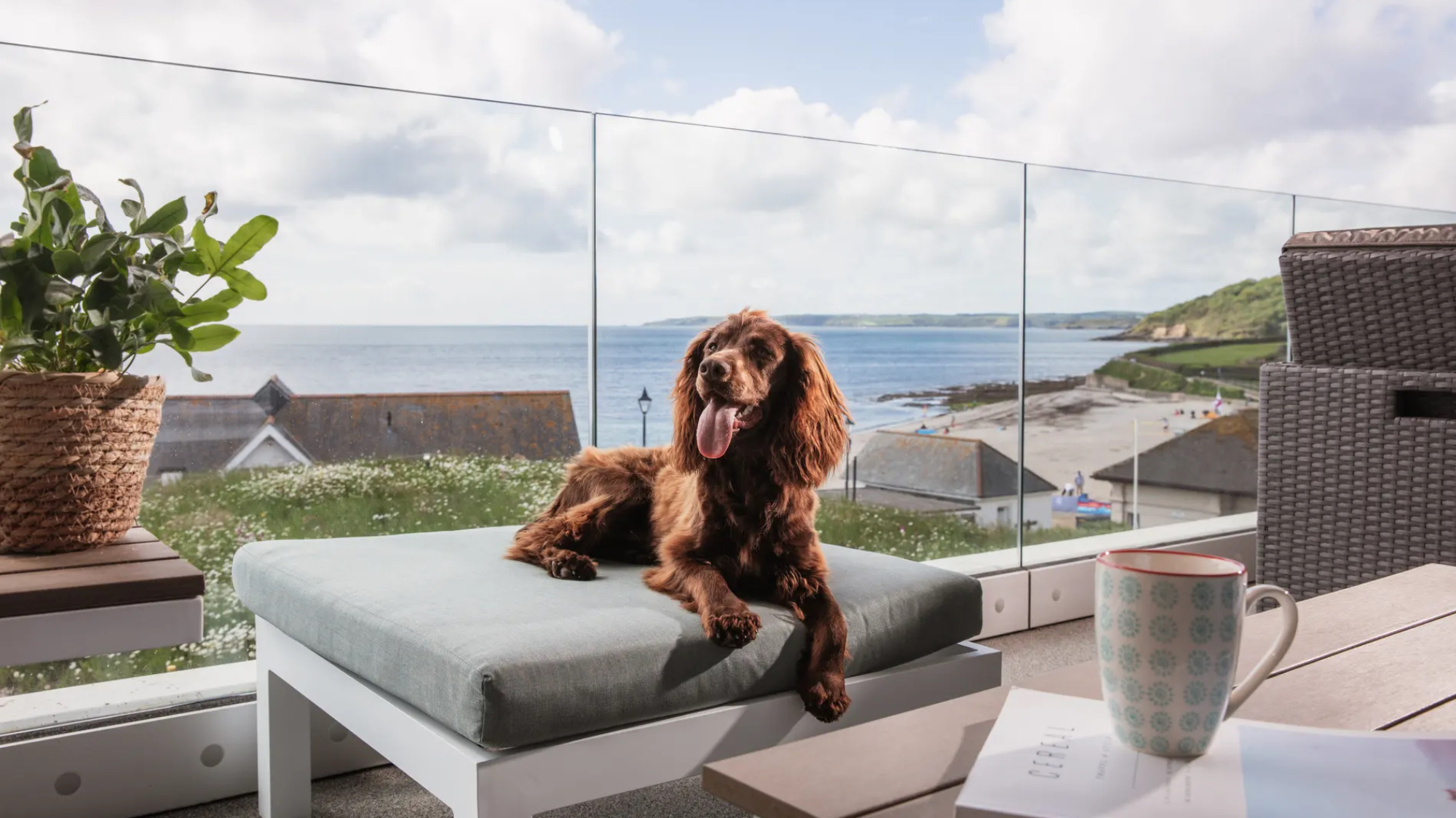 Dog sitting on balcony at St Michaels Resort, Cornwall