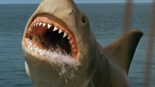 A roaring shark in Jaws: The Revenge