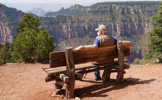 A man wearing a mask sitting on a bench at the Grand Canyon.