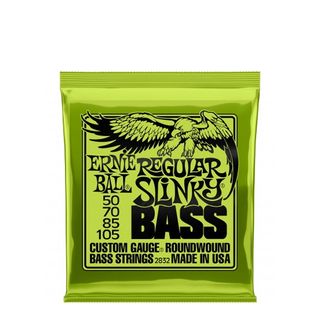 Ernie Ball Regular Slinky Nickel Bass