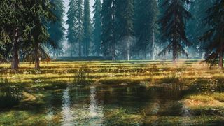 CG art scattering tools; a render of a wood and swamp