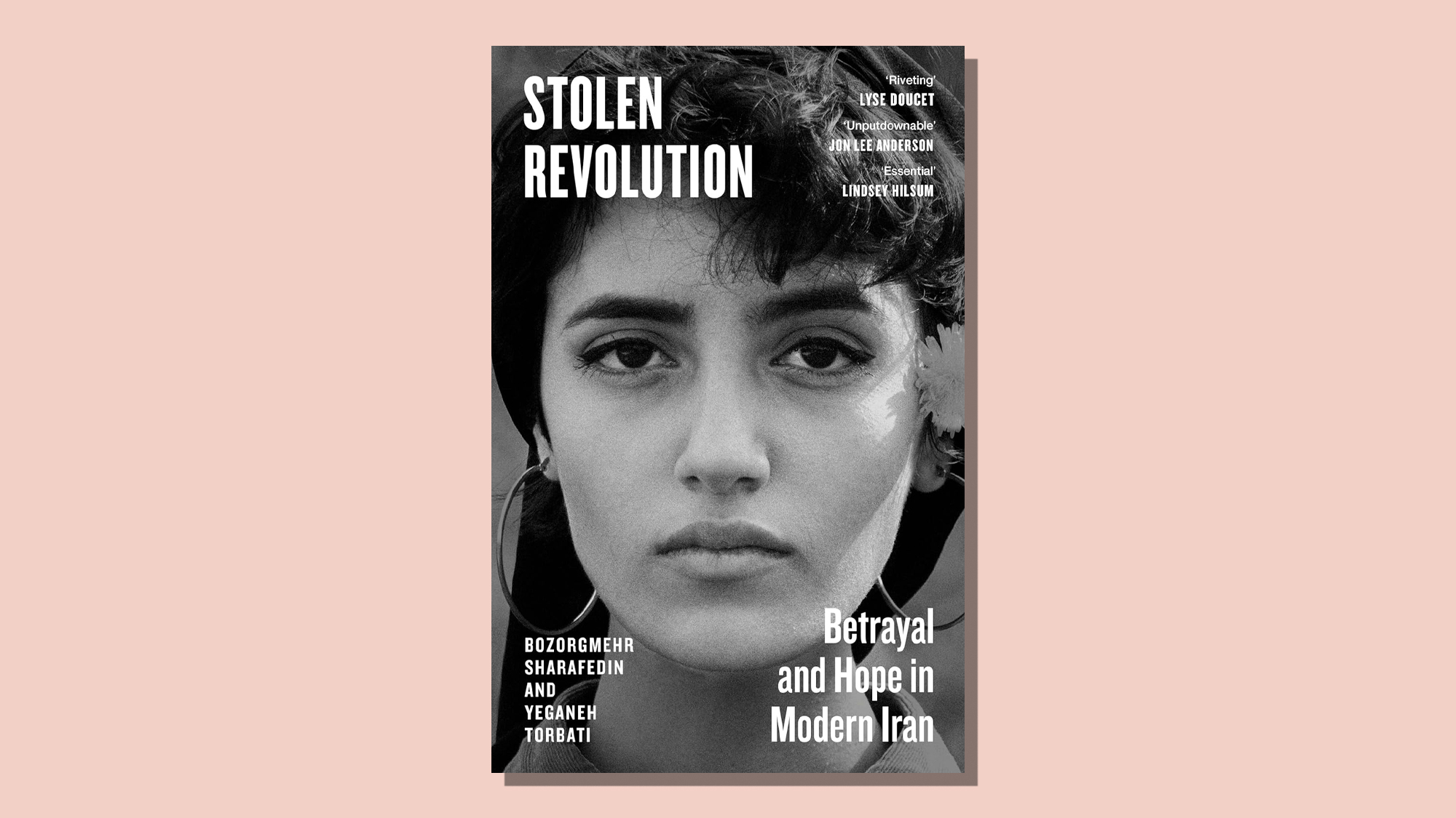 Book cover of Stolen Revolution