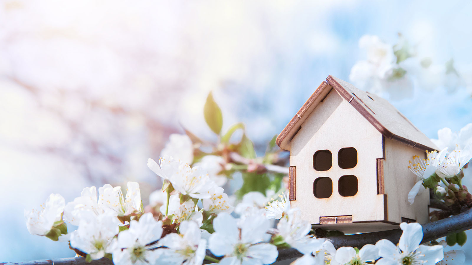 model of a wooden house sitting on a branch of a blossom tree in full bloom in spring