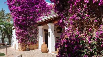 Atzaró Agroturismo Hotel exterior view