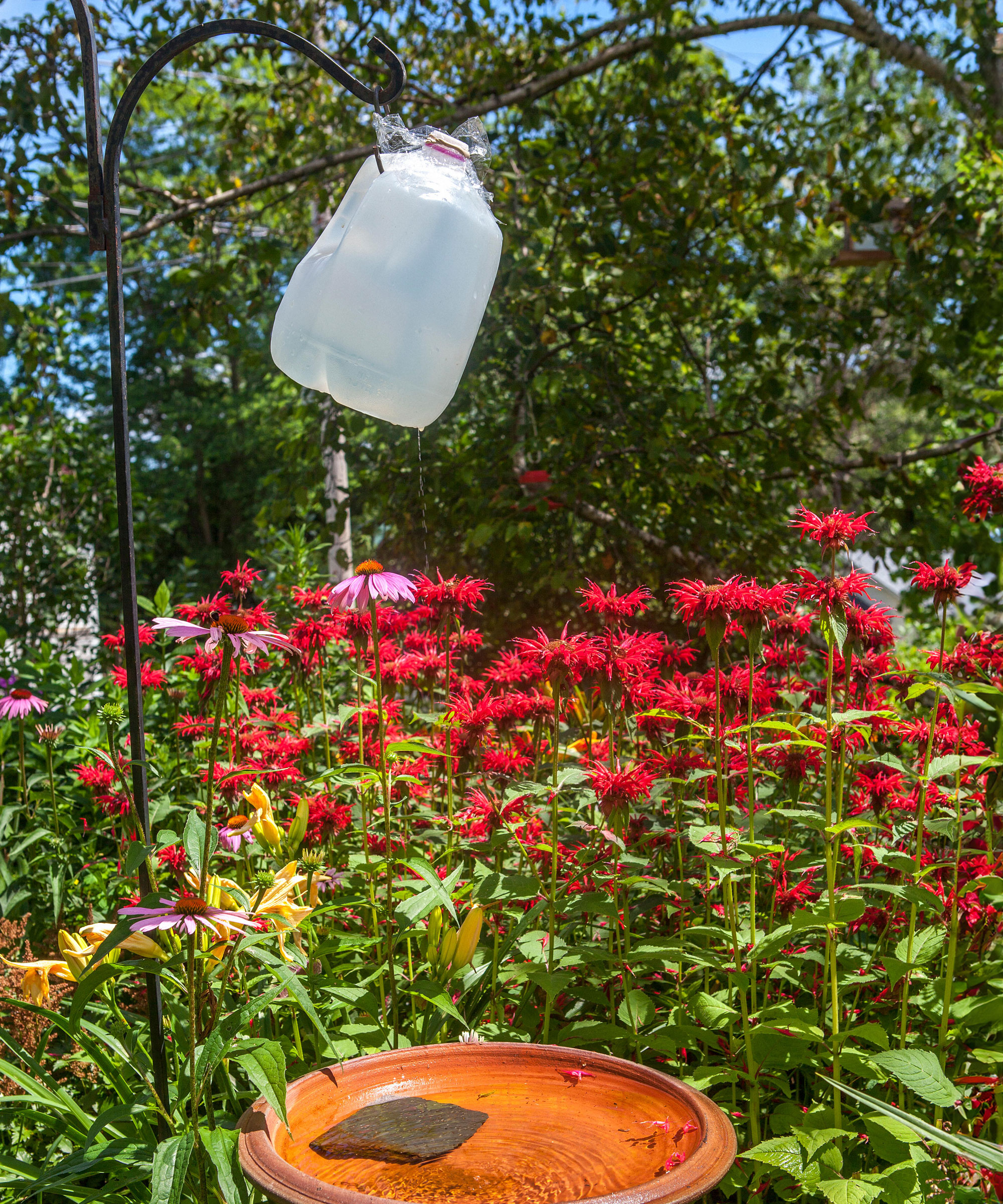 plastic bird bath hanging from shepherd's hook filled with water above bird bath in garden