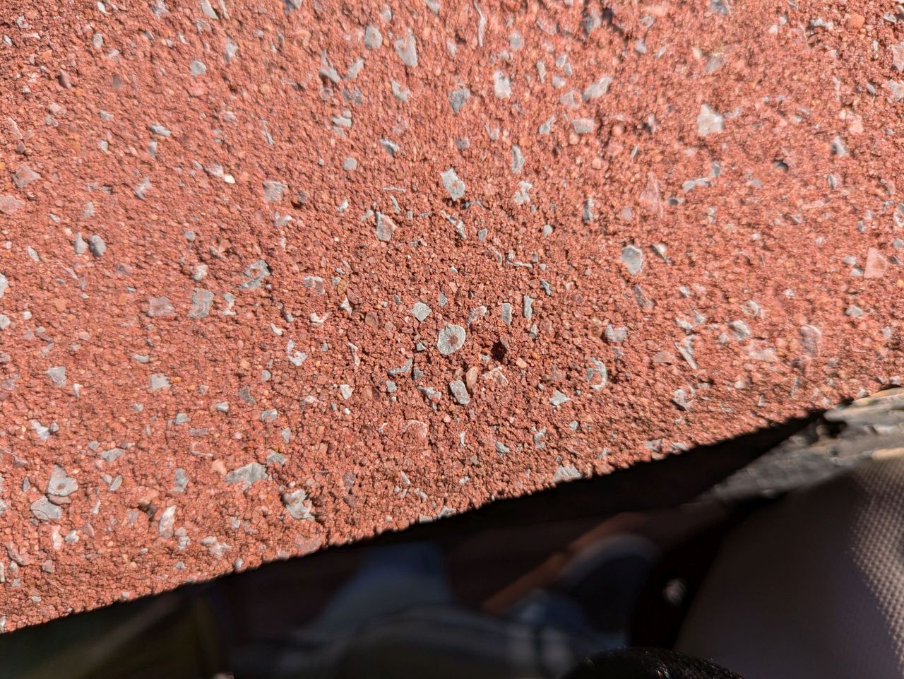Google Pixel 8a macro sample.