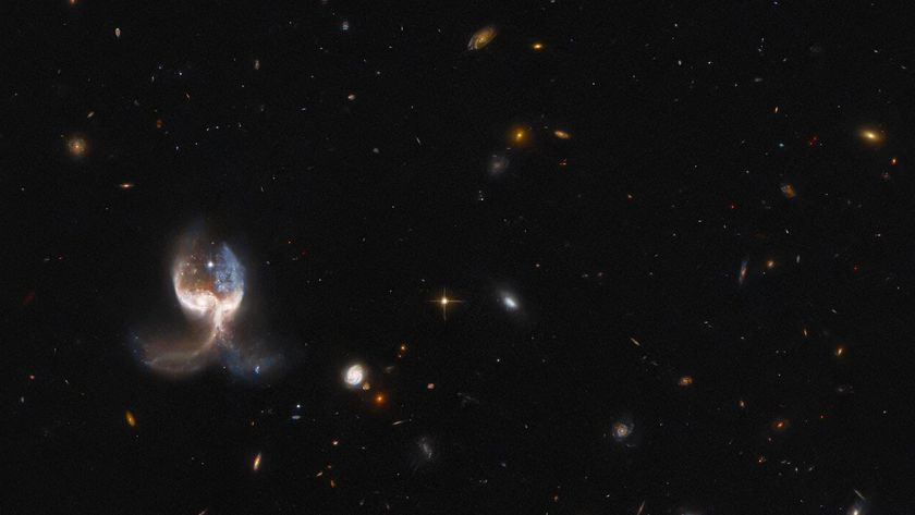 The NASA/ESA Hubble Space Telescope photographed the VV689 system, which consists of two massive merging galaxies, giving the system a symmetrical &quot;wing&quot; appearance. 