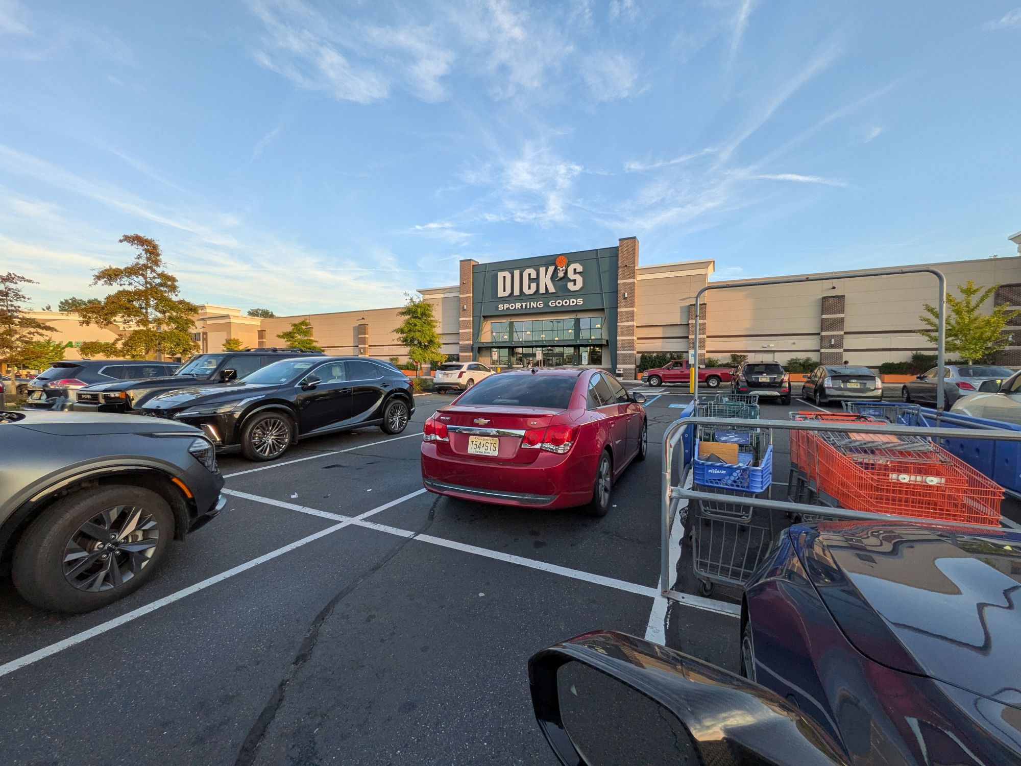 Google Pixel 10 camera sample.
