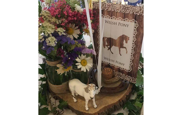 A Welsh pony for the Welsh pony table