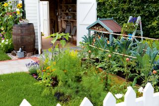 vegetable garden ideas - white shed