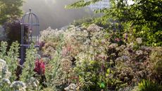 Layered cottage garden border 