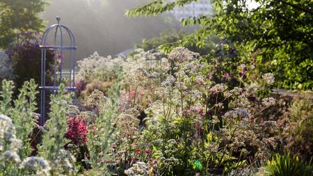 Layered cottage garden border 