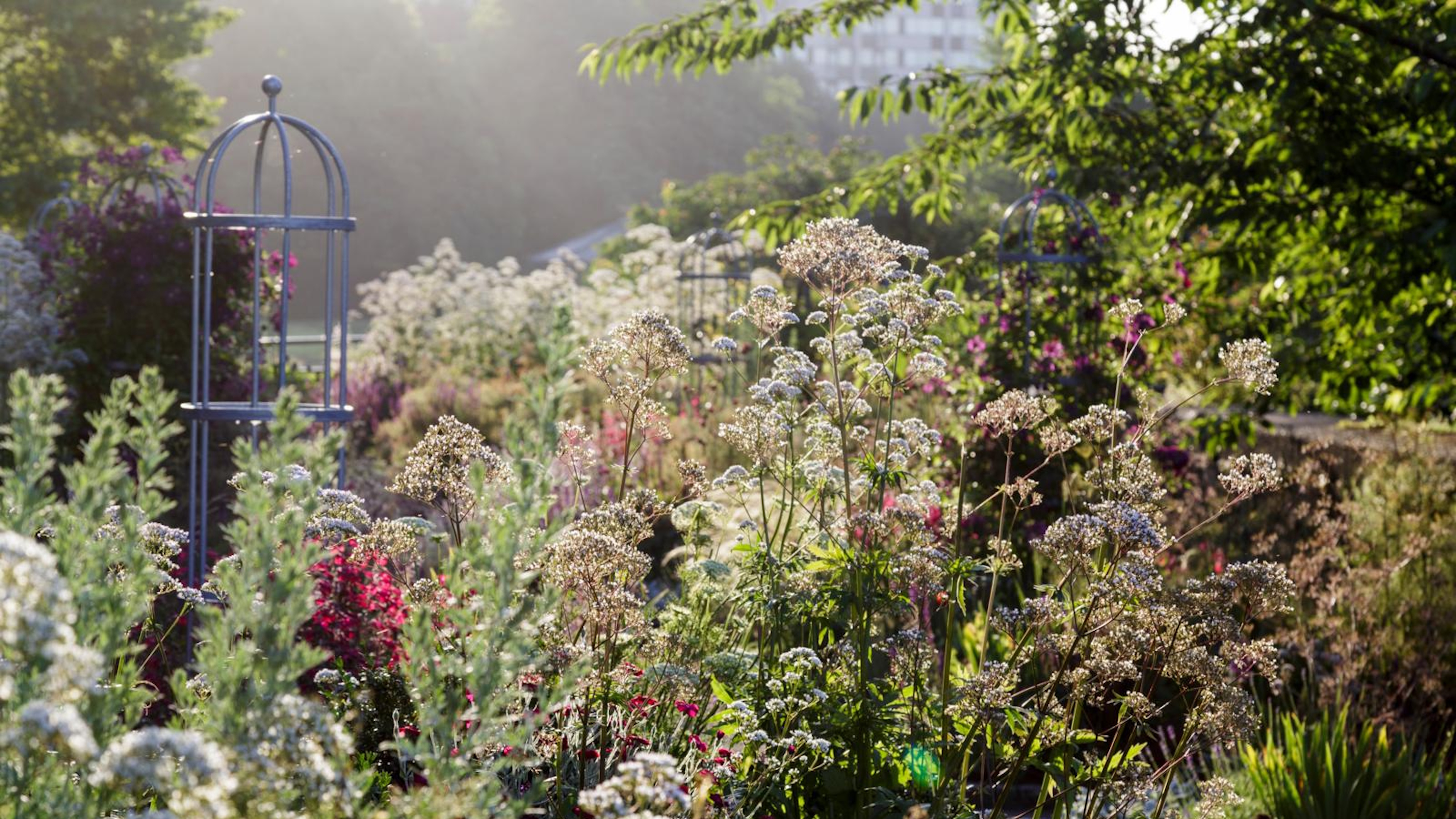 Layered cottage garden border 