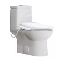 Horow Elongated Bidet Toilet: was $519 now $469 @ Home Depot