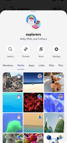Discord's detail pages for DMs and Group chats gets updated to see shared media and more.