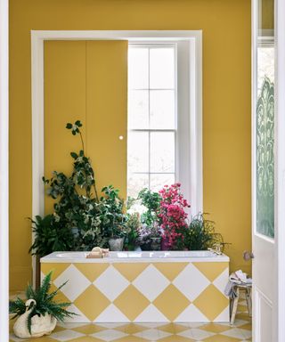 yellow room with checked bath tub and lots of plants