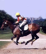 67ED18FF-7077-4CE8-BF31-8D9B0D5BFFF5.jpg