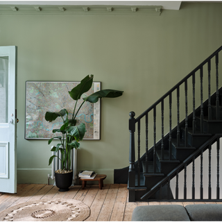 A green painted entrance way with black staircase