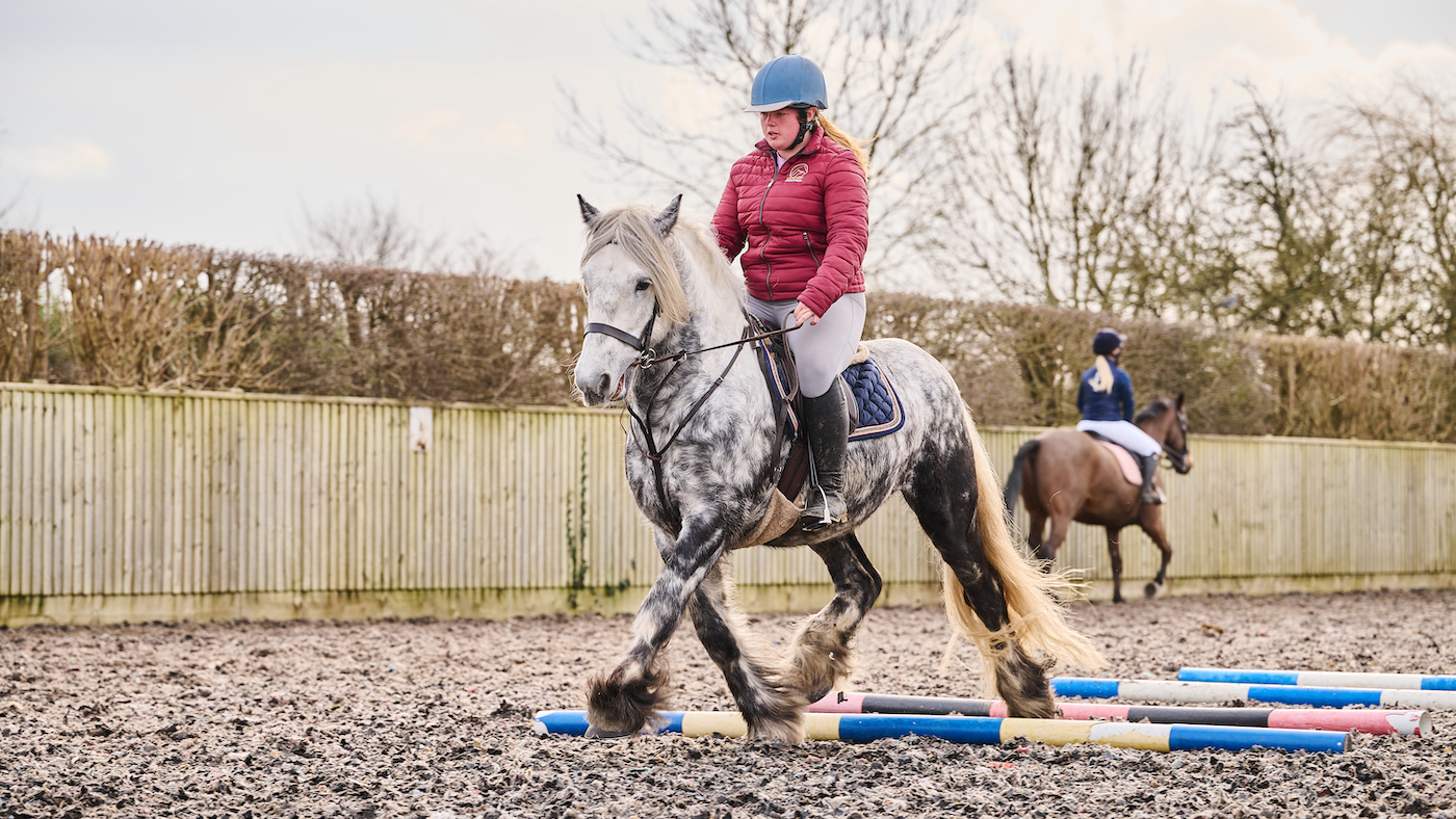 Grey pony doing polework