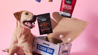 chewy goody dog subscription box