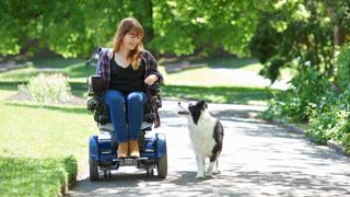 Woman in wheelchair walking border collie