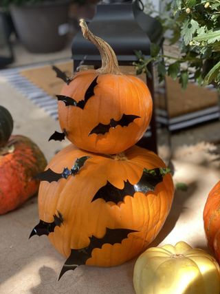 3D bat decorated pumpkin