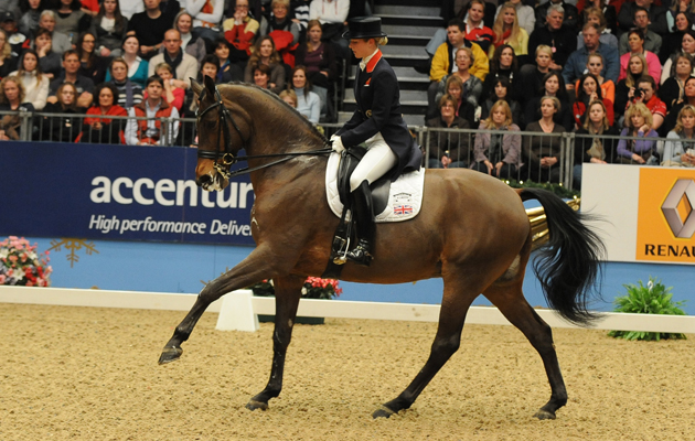 how to improve your horse&amp;rsquo;s flying changes