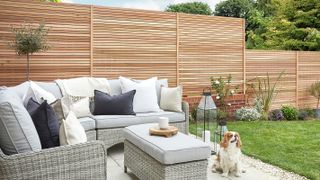 contemporary wooden fence panels in modern garden