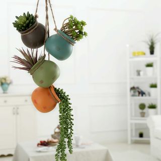 Four pastel colored hanging ceramic planters on rope